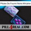 African Black Ant Pills 37